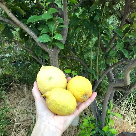 בית הארחה Kastri