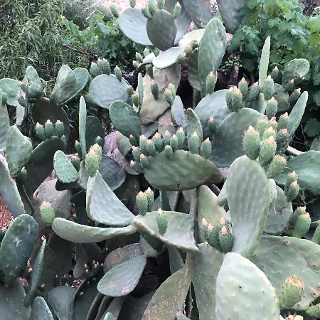 Гостевой дом Kastri 3*